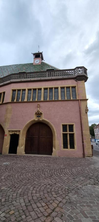 Appartement Grenier A Sel Gentleman Colmar Bagian luar foto