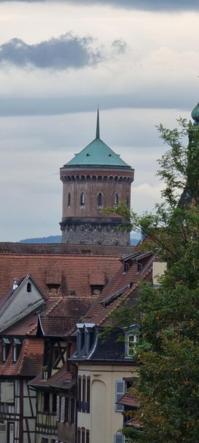 Appartement Grenier A Sel Gentleman Colmar Bagian luar foto